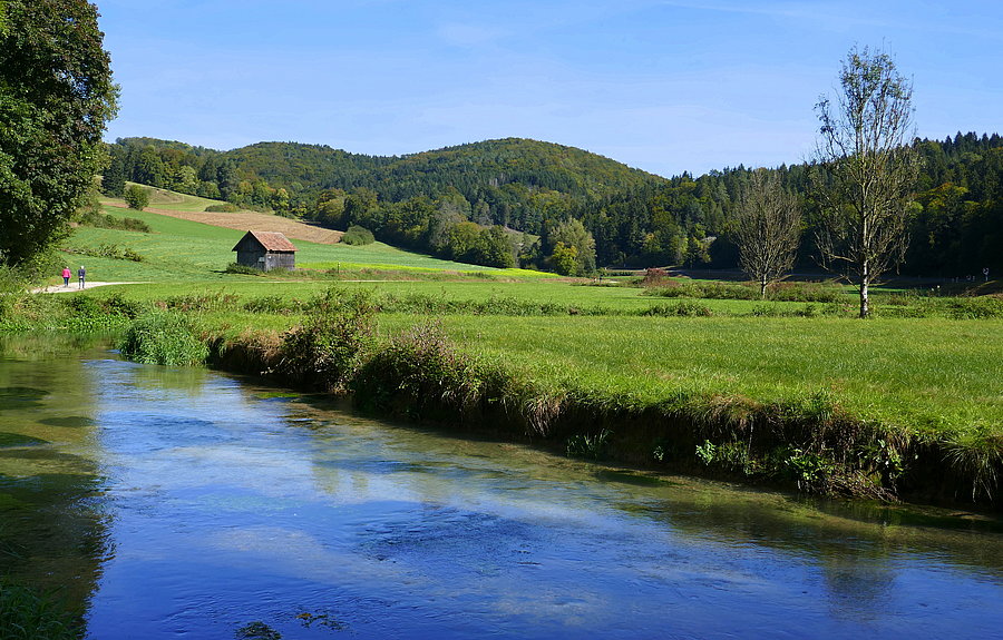 Flusslandschaft im Grünen