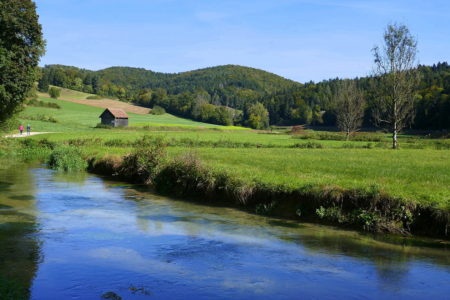 Flusslandschaft im Grünen