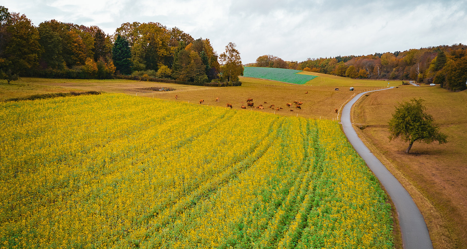 Radweg führt durch Felder im Landkreis Calw