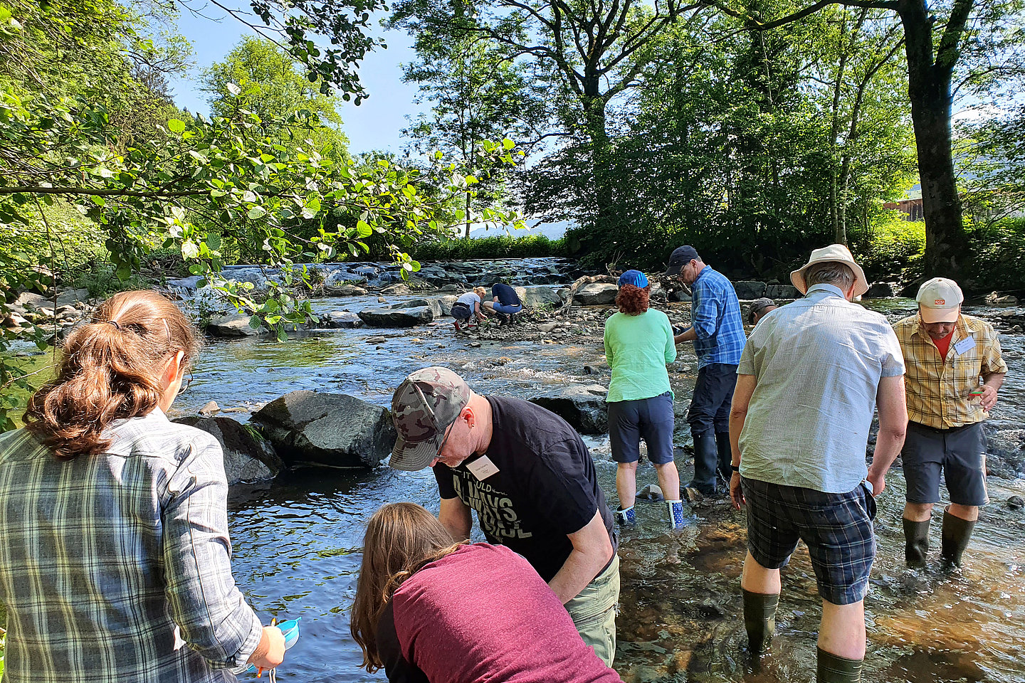 sieben erwachsene stehen bei sonnenwetter in einem flachen flussbett und schauen ins Wasser