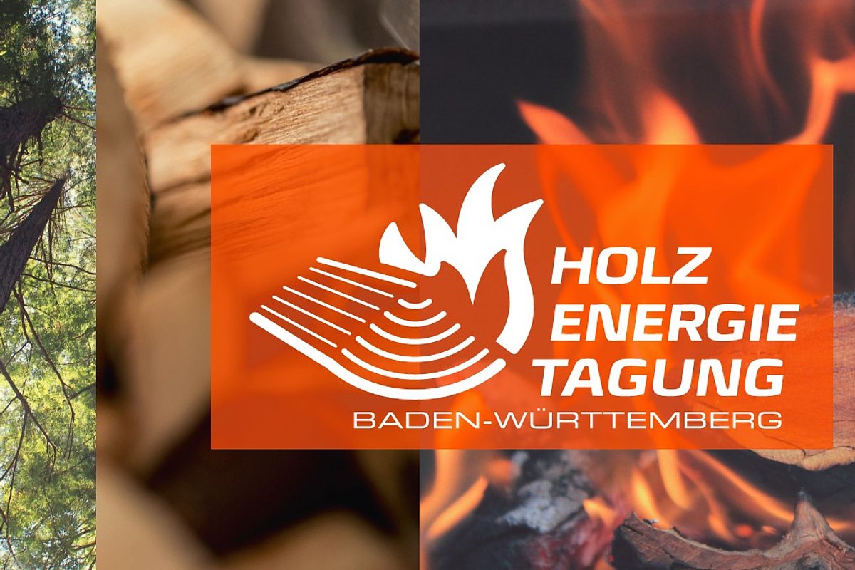 Logo der Holzenergietagung