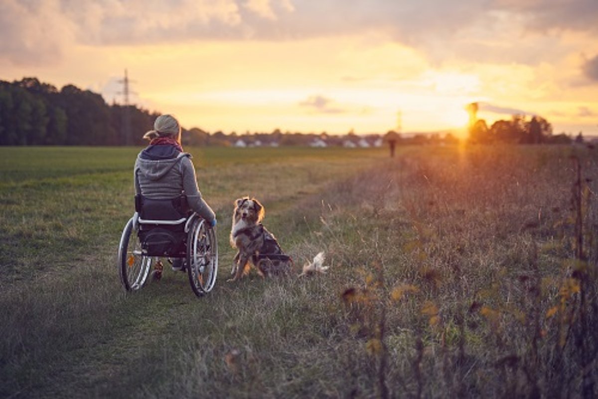 Frau im Rollstuhl mit Hund auf Feldweg vor untergehender Sonne