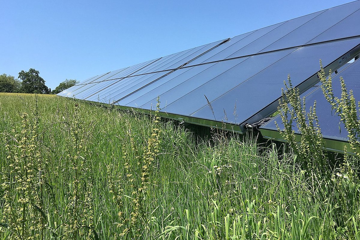 Solarthermische Großanlage mit Wiese
