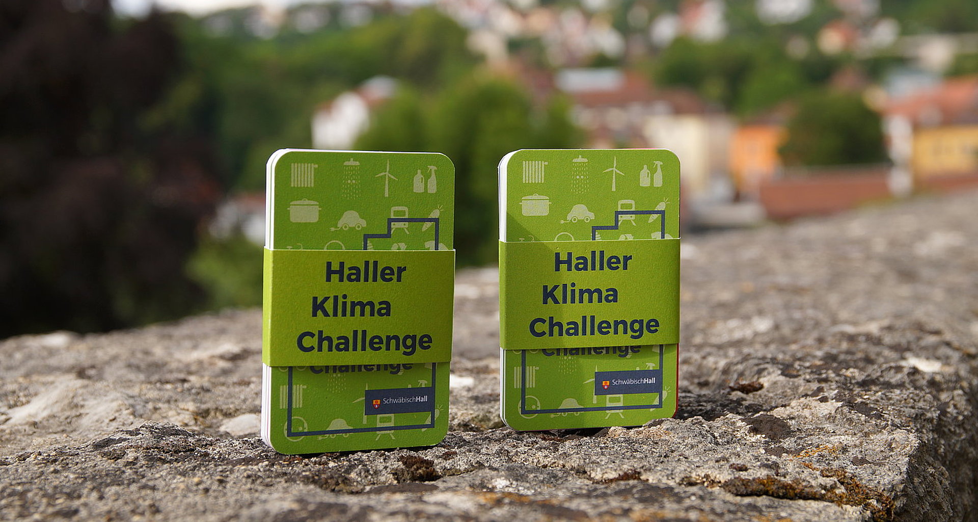 Foto von zwei Kartenspielen mit der Aufschrift "Haller Klima Challenge"