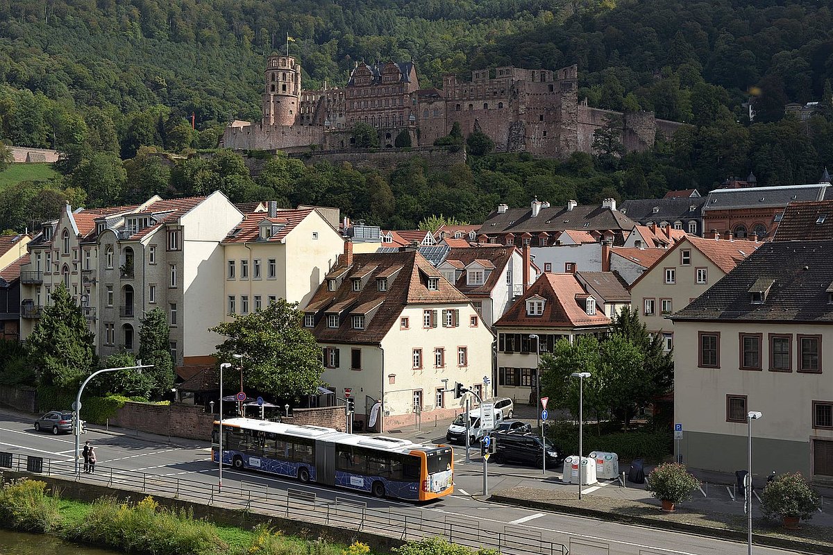 Mit Bus und Schloss