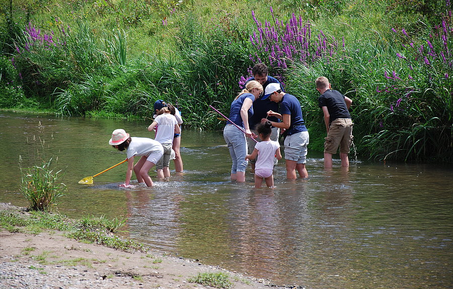 Kinder und Erwachsene stehen in einem flachen Fluss und schauen hinein