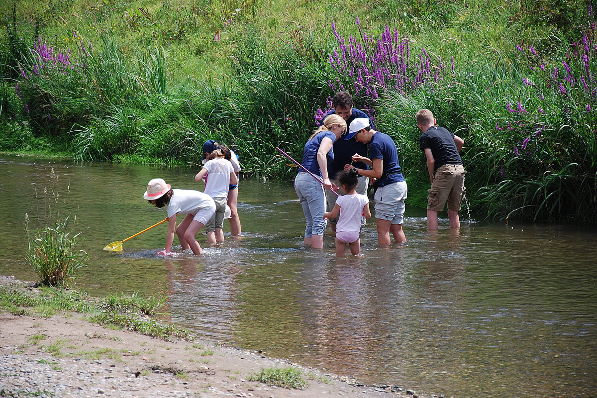 Kinder und Erwachsene stehen in einem flachen Fluss und schauen hinein
