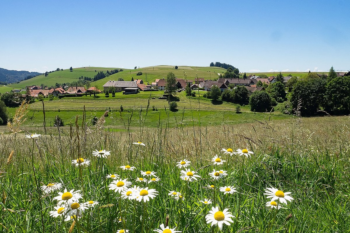 Blick von Wiese mit Blumen auf Kommune zwischen Hügeln