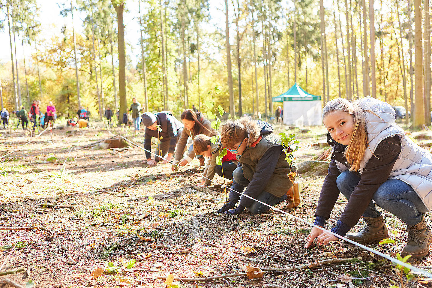 Junge Menschen pflanzen Bäume in einem Wald