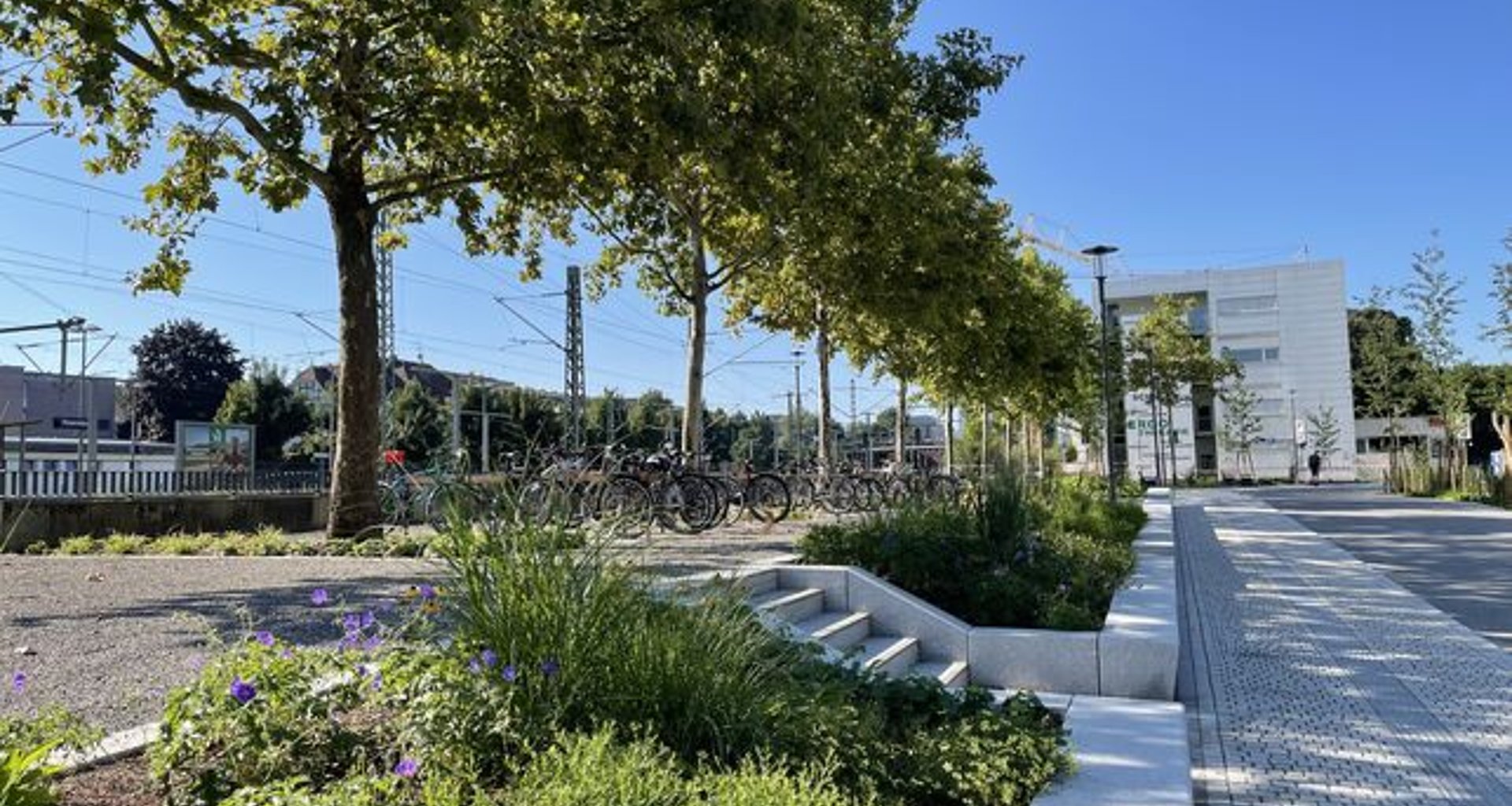 Kleine Treppe zum Schussenpark